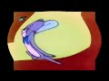 I KILLED THE TOM JERRY SHOW 1975 OPENING SEQUENCE