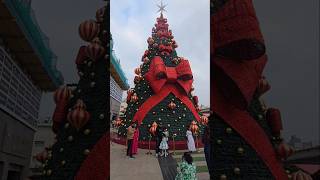 Download lagu Xmas 🎄 song Jingle bell #song #xmas #music #shorts mp3