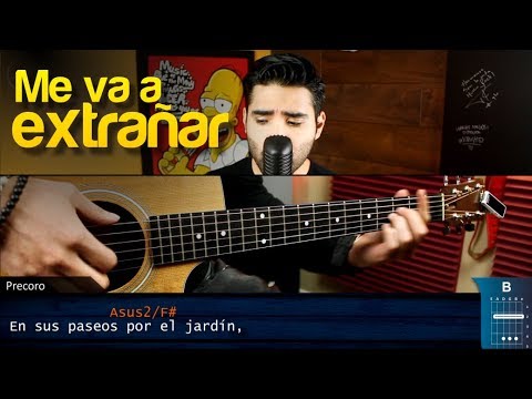 Me Va A Extrañar - Ricardo Montaner