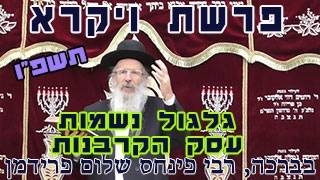 פרשת ויקרא תשפ"ו-הרב פינחס שלום פרידמן-עסק הקרבנות-גלגול נשמות