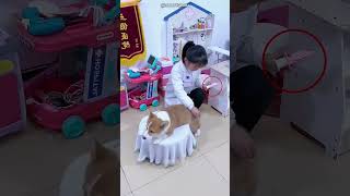 Cachorro Fofo Ajuda Garota a se Tornar Médica 😍❤️