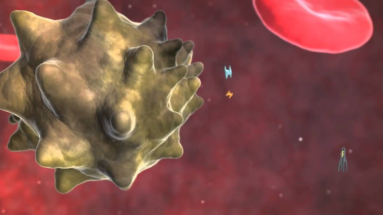 Complement Cascade - Membrane Attack Complex - YouTube