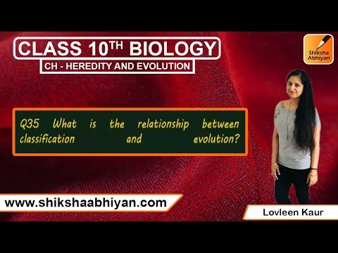 image-What is the relationship between classification and evolution?
