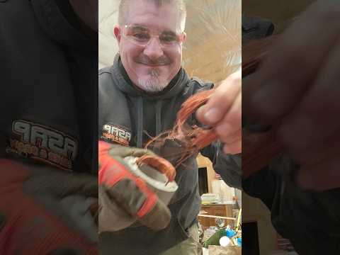 Scrapping Electric Motors for LOTS of  Copper EASY WAY, Recycling