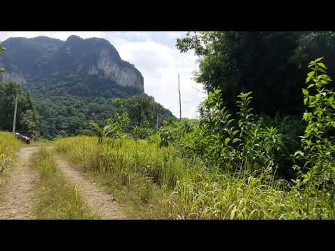 Mountain View Land Plot for Sale in the Khao Thong Area of Krabi