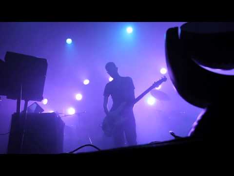 LOTUS : BUFFALO NY : PLANT YOUR ROOT