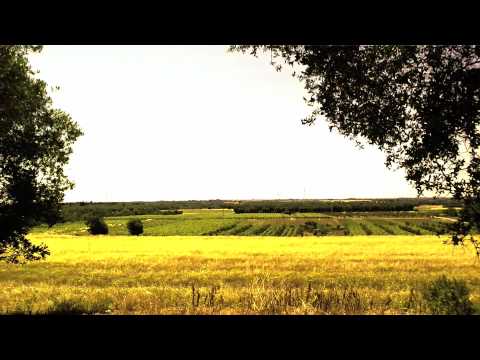 mesciuRafeli - Terra Mia