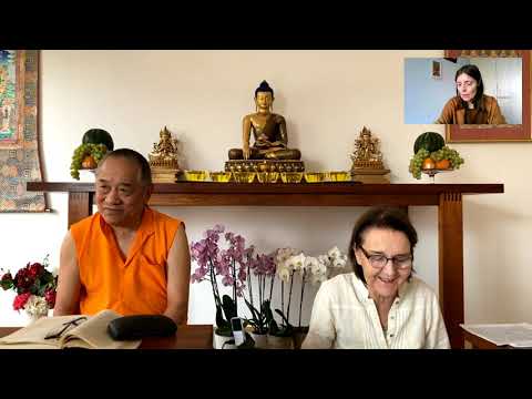 Die Stufen der Meditation - Geistesruhe und Einsicht • n°8 • Khenpo Chödrak Rinpoche