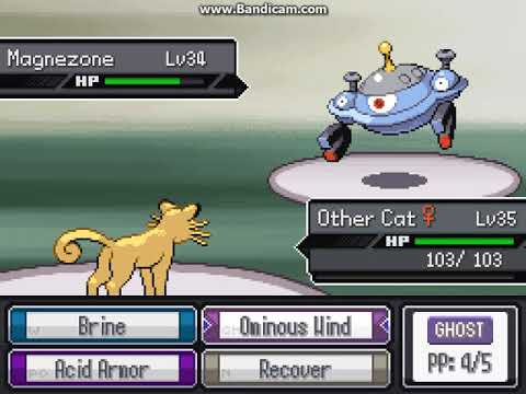 9) Pokemon Reborn Redux: Orderly John aka Reborn's secret future final boss.