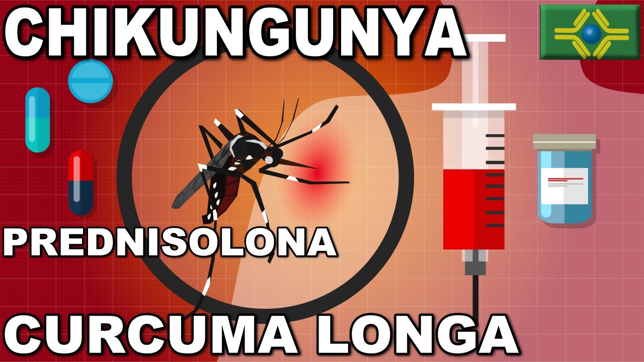 CHIKUNGUNYA | PREDNISOLONA | CURCUMA LONGA | Curcumina