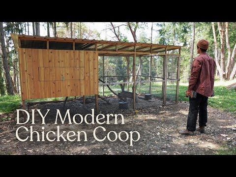 Man Builds Epic Mid-Century Modern Chicken Coop Using Recycled Materials—Part 3