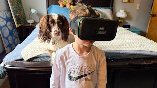 FEEBZ 3D VR Headset for Kids Review
