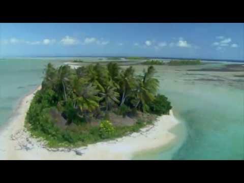 Deep Forest - Pacifique