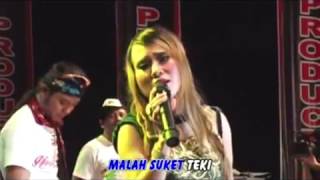 Download lagu Suket Teki mp3 Download lagu Suket Teki mp3