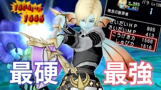 【DQ10】アホみたいな攻撃力から繰り出すパラディン流槍殺法の火力が馬鹿すぎるｗ【ドラクエ10】