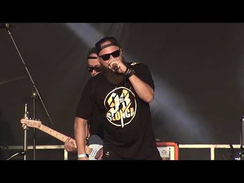 NULLIZMATYKA & Pork Pores Porkinson - AMG (LIVE) #polandrock2019