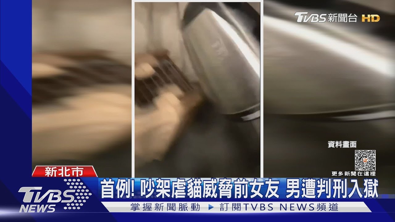 首例！吵架虐貓威脅前女友男遭判刑入獄