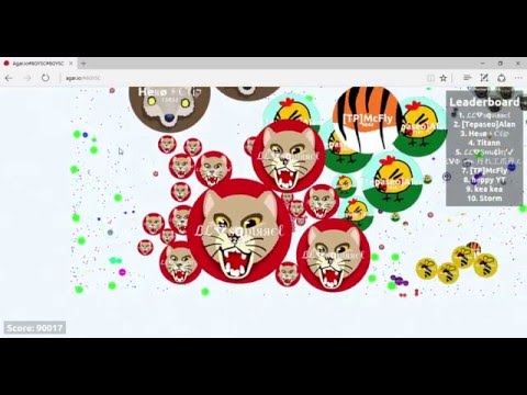 90k score in agar.io!!!