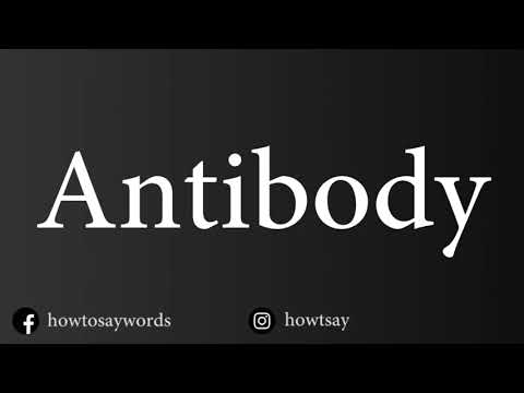 How To Pronounce Antibody