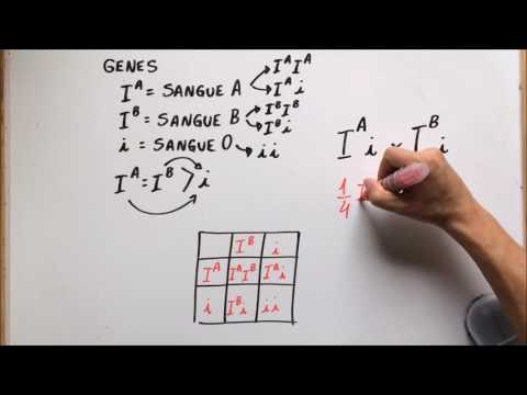 ABO System (Part II - Genes) - Professor Gustavo's Summary