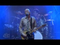 Hoodoo Gurus - My Girl (Live at Dig It Up! Sydney) | Moshcam