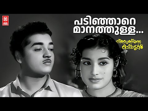 Padinjare Manathulla | Ninamaninja Kalpaduka | Prem Nazeer | Ambika | Malayalam Film Song