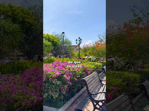 Conocé este pueblo y te enamorarás de Antioquia, Colombia