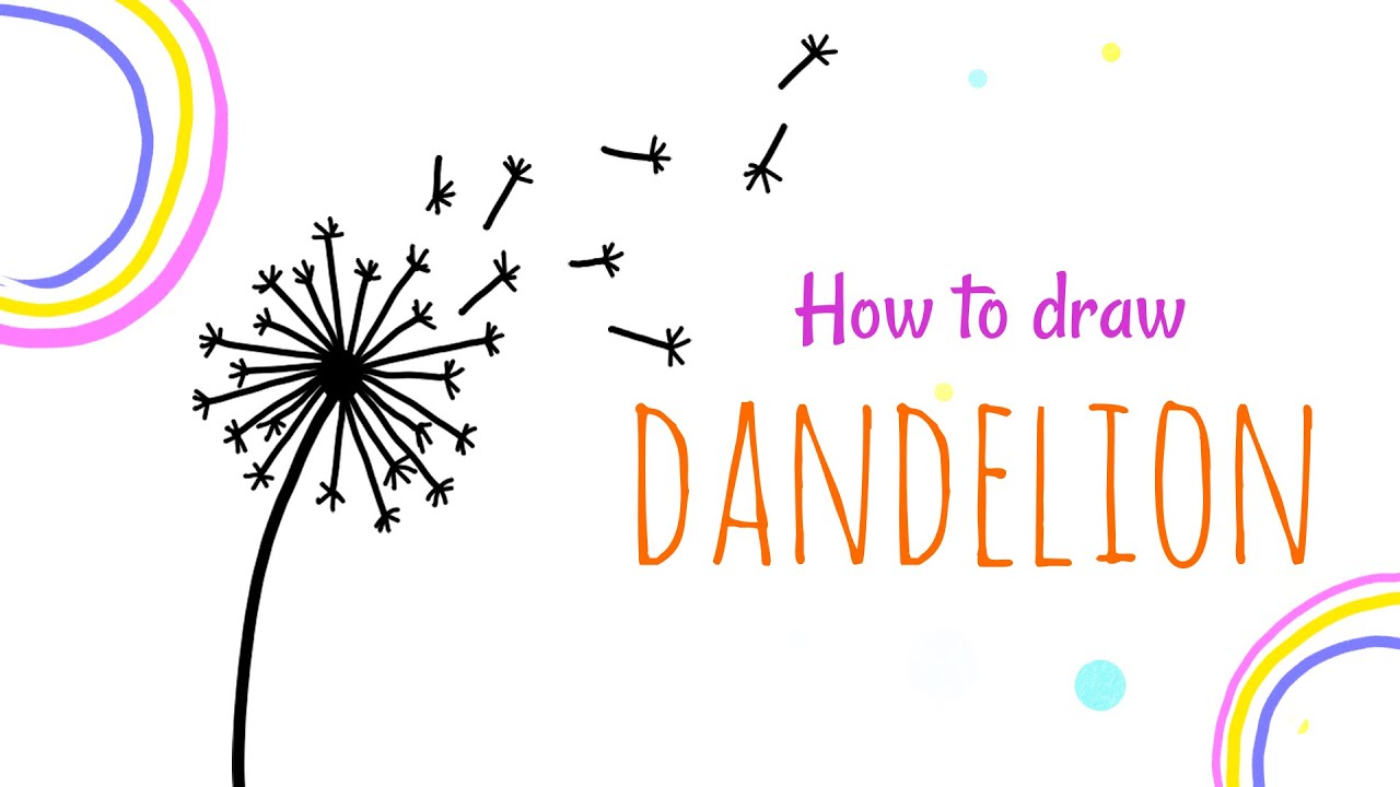 How to draw a Dandelion | Step by step drawing