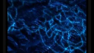 La sombra del lobo.wmv