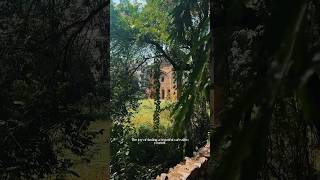 Download lagu Must Visit Cafe in Delhi to Work with Best Views| Spaced Out Cafe✨❤️ mp3