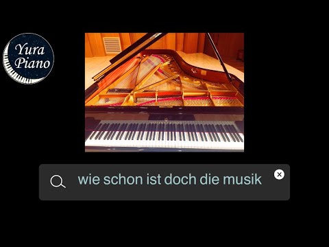 Wie schon ist doch die musik - MR, accompaniment, karaoke,피아노반주
