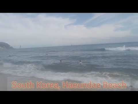 IIT Ropar vlogger on the Haeundae Beach| Vinay and Ansul on the land of South Korea