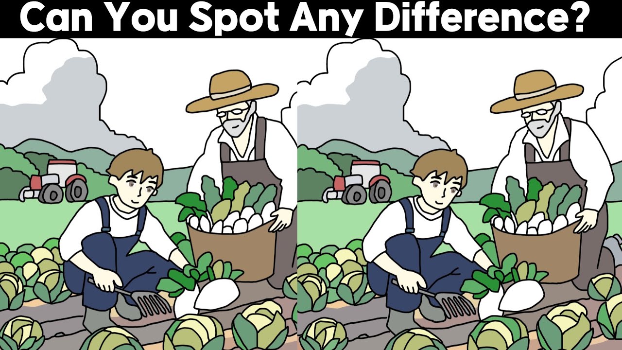 Find the Difference 118 Spot the Difference / brain exercise