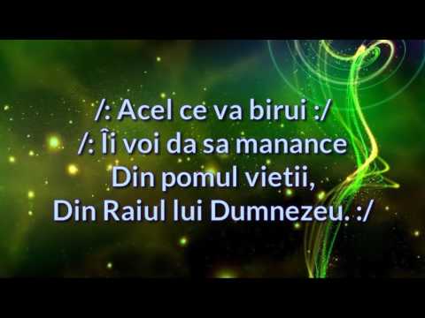 ACEL CE VA BIRUI negativ