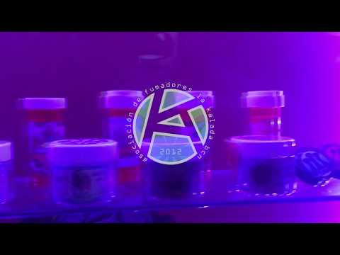 La Kalada Spannabis OFF 2018 Day FOUR