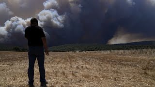 Griechenland: Beispiellose Hitze und starke Winde erschweren die Brandbekämpfung