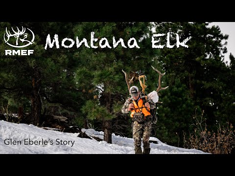 2020 Montana Bull Elk || Glen Eberle Founder of Eberlestock