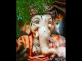 Sukh Karta Dukh Harta Bappa Coming Soon WhatsApp Status Video Sachet Parampara Mr Worst