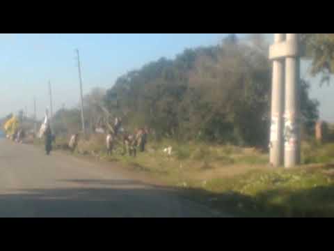 Video. Limpian y mejoran los alrededores de terrenos ocupados