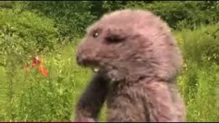 Hold Me Now (2004 Glove and Boots Video) - The Polyphonic Spree