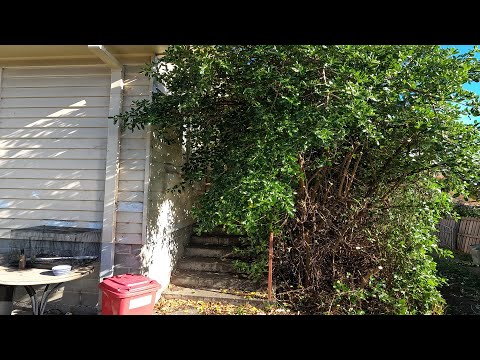 This DISASTER was POST-APOCALYPTIC | Satisfying Backyard Makeover | Part 1