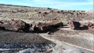 preview picture of video 'Petrified Forest National Park: Agate House and Long Logs Trail'