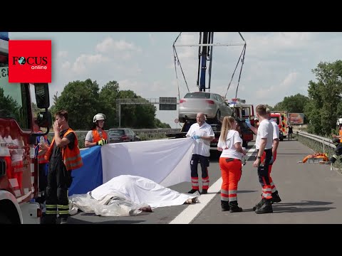 25.000 Euro-Turnierpferd nach Unfall eingeschläfert worden