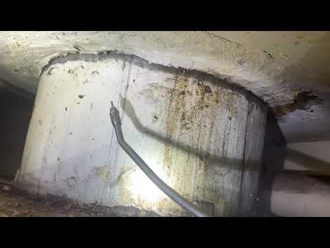 Cockroaches Infest Multifamily Building in Freehold, NJ