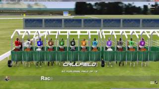 TAEHRF - Race 5 - Schillaci Stakes