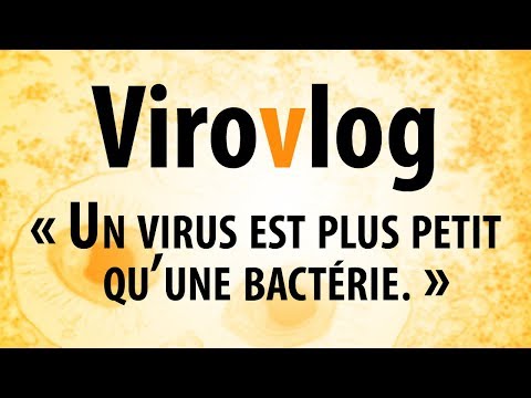 C'est pas la taille qui compte - Virovlog 01