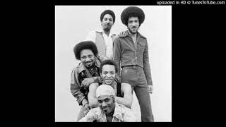 THE METERS - CHUG CHUG CHUG-A-LUG (PUSH AND SHOVE)