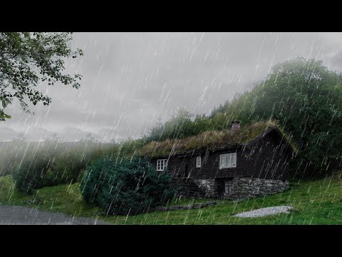 Sleep Instantly Within 3 Minutes with Sound of Rain on Roof in Foggy Forest - ASMR