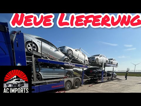 Japan-Import Tag! So kommen unsere Autos bei AC Imports an