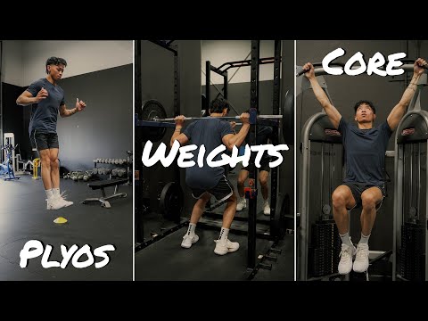 INTRO TO PLYOMETRICS, WEIGHTED, AND CORE EXERCISES FOR VOLLEYBALL ATHLETES | Training with Jordan